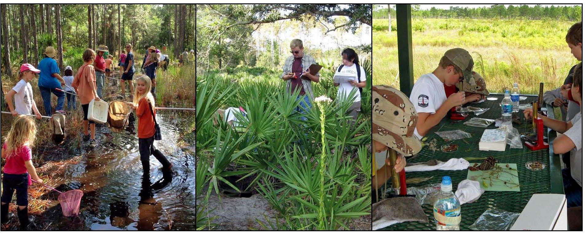 Outdoor education classes for schools