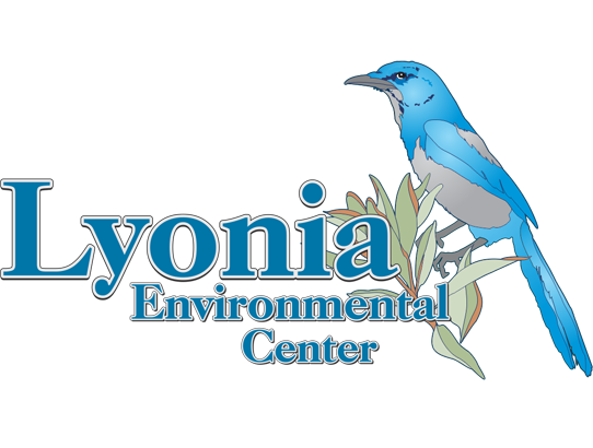 LEC plans virtual nature programs Story Featured Image