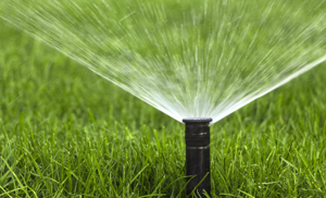 Photo of lawn sprinkler