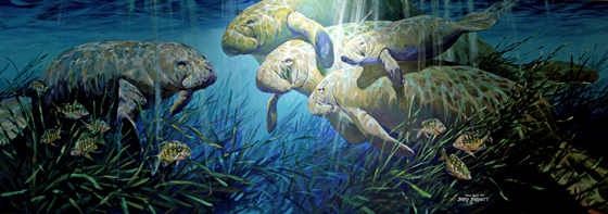 Home Again II by Barry Barnett - Daytona Beach International Airport