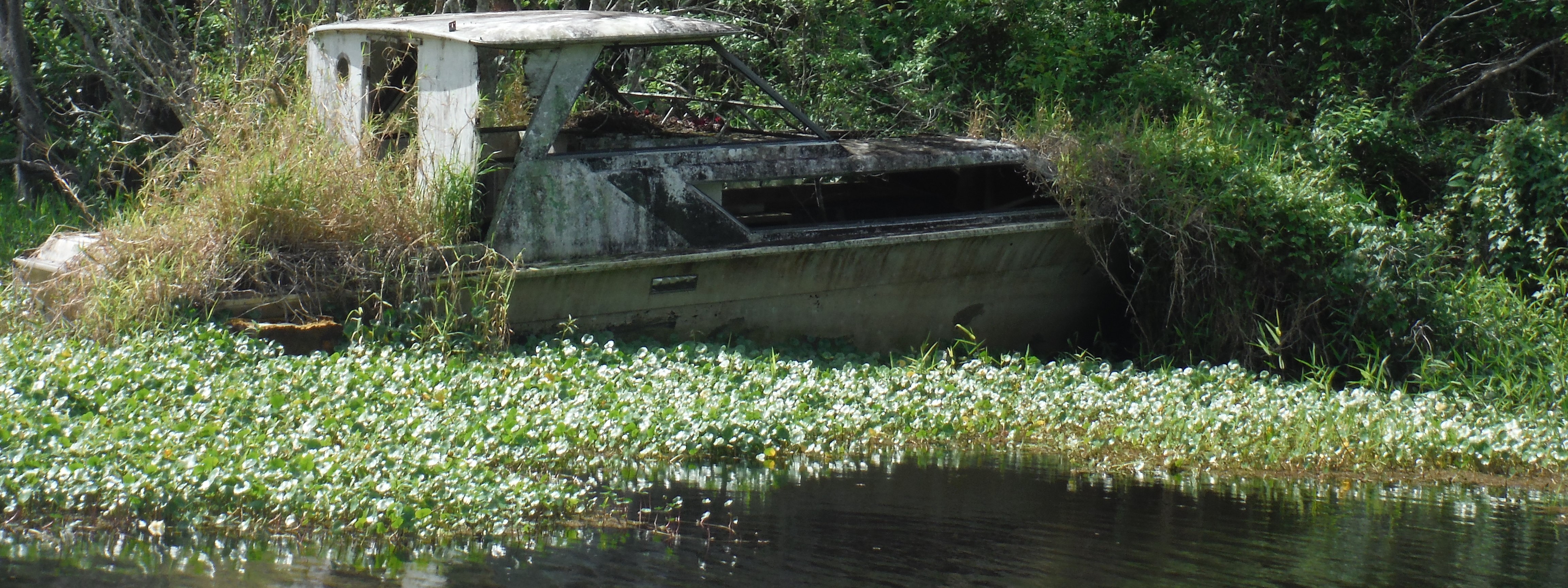 derelict vessel picture