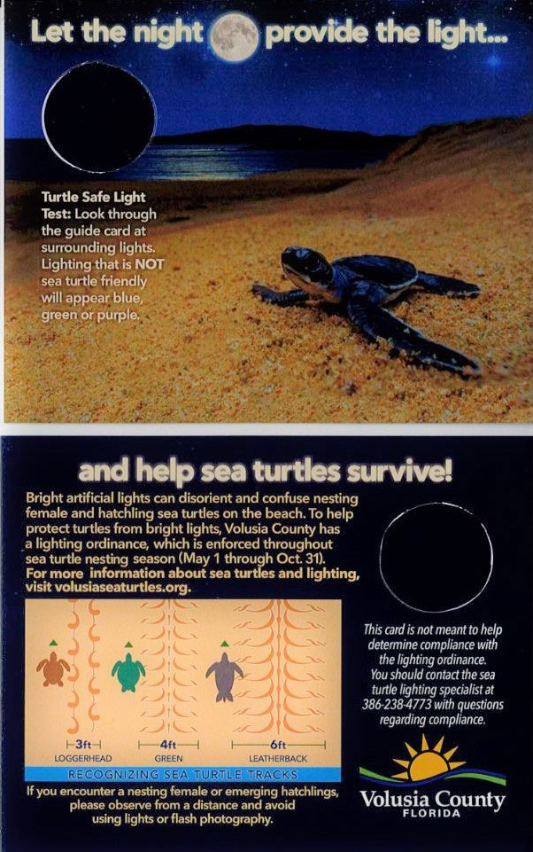 Sea Turtle Safelight Guide