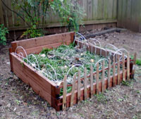 Small raised bed garden