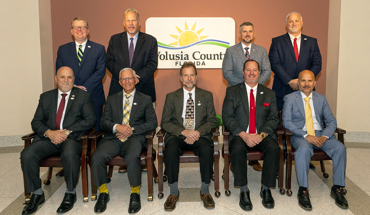 county council group image