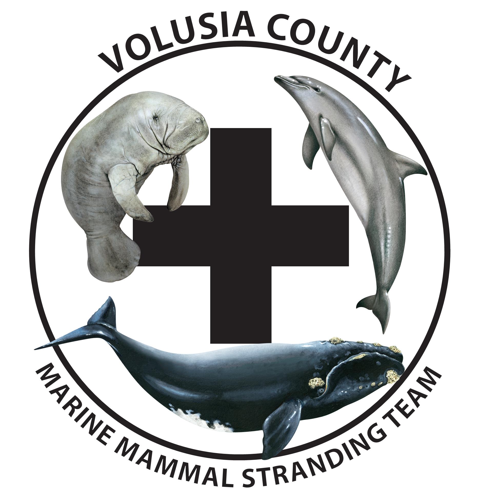 Volusia Countys Marine Mammal Stranding Team logo