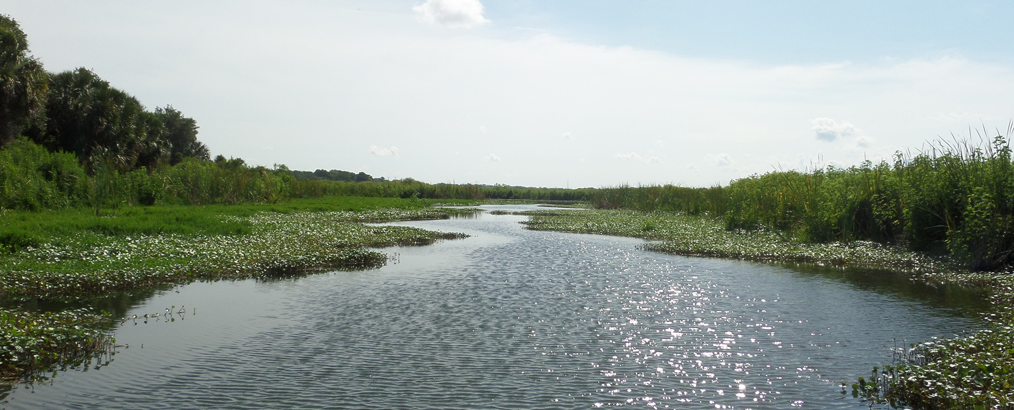 Gemini Springs Conservation Area photo