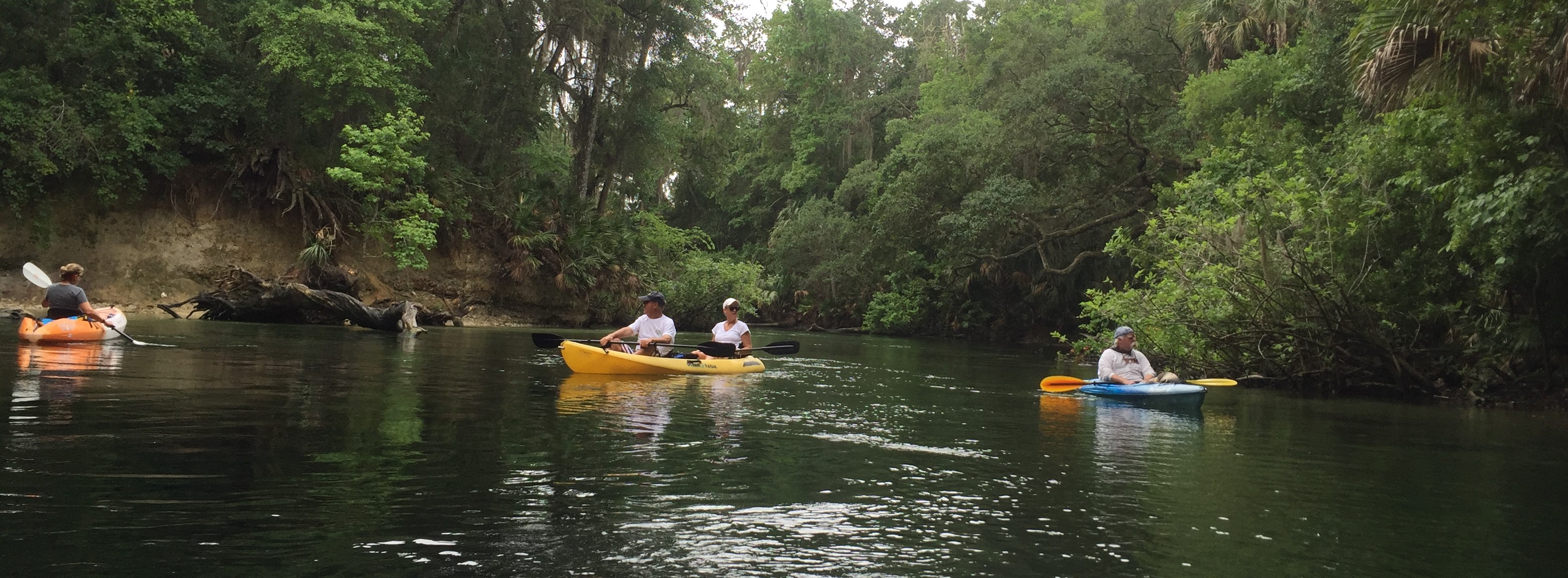 Kayaking on the St Johns River near Blue Spring Park