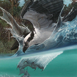 Steve Hardock artwork