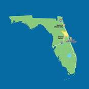 green florida shape graphic