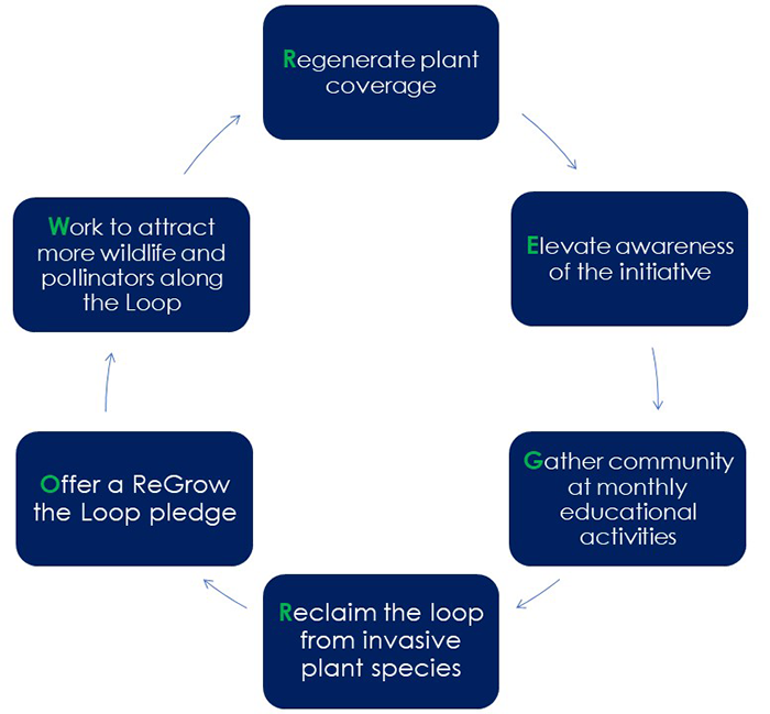 regenerate plant coverage, evaluate awareness of the initiative, gather community monthly educational activities, reclaim the loop from invasive plant species, offer a regrow the loop pledge, work to attract more wildlife and pollinators.