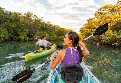 people kayaking on the river