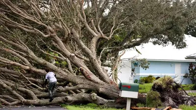 Residents Encouraged to Submit Milton Damage Photos Through Online Portal