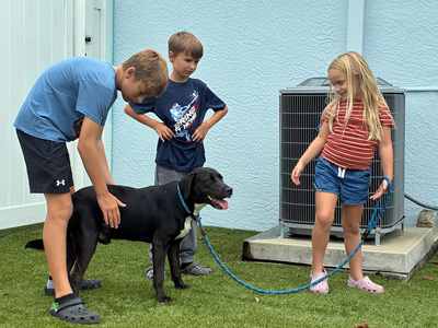 Young Siblings Turn a Year of Saving Change Into a Pet Food Donation at the Volusia County Animal Shelter Story Featured Image