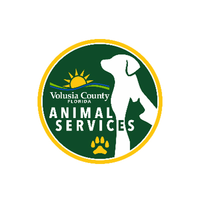 Volusia County Euthanizes Dogs Responsible for the Death of Child
