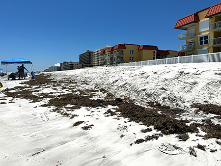 Volusia County’s South Berm Project Reinforces Shoreline  in New Smyrna Beach as Access Returns for Summer Story Featured Image