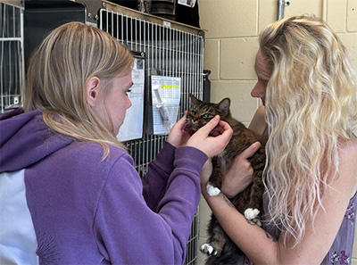 After Four Years Apart, Volusia County Woman is Reunited with the Cat She Bottle-Fed as a Kitten