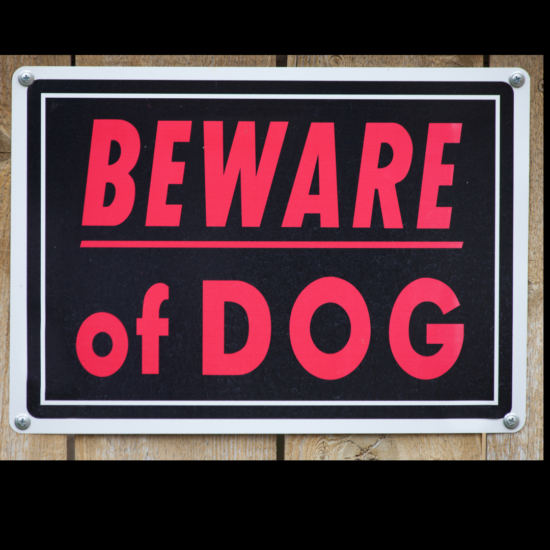 County Sets $500,000 Insurance Requirement for Owners of Dangerous Dogs