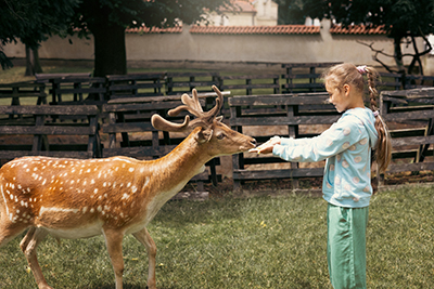Explore Volusia's Agricultural Heritage During Free Farm Tour Story Featured Image