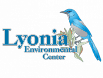 Get Back to Nature at Lyonia Environmental Center