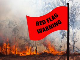 Volusia County Fire Rescue Shares Wildfire Safety Tips