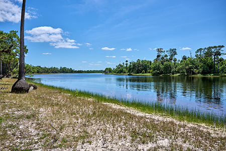 Volusia County Council Approves Purchase of 1,299-Acre  River Bend Ranch Property Through Volusia Forever