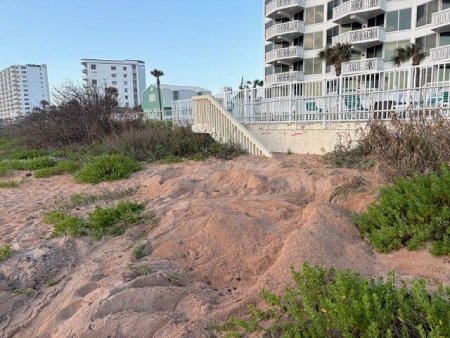 Volusia County Sea Turtle Nesting Season Gets Early Start with First Nest of 2026