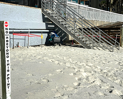 Volusia County Sets New Sea Turtle Nest Record This Morning as the 1,517th Nest is Found Story Featured Image