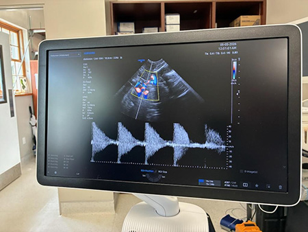 Community Support Brings New Ultrasound System to the Marine Science Center