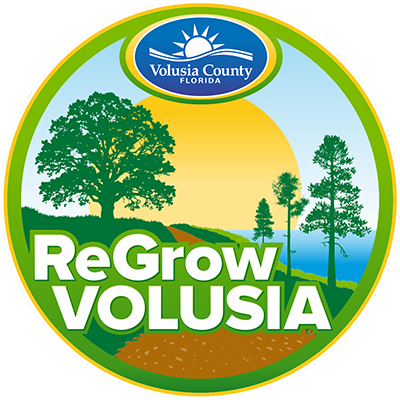 Learn How to Plant Like a Floridian