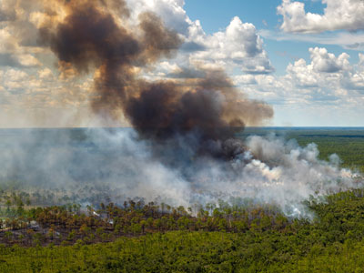 Multiple Fire Crews Responding to 100-Acre Brush Fire in Daytona Beach Story Featured Image
