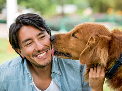 Volusia County Animal Shelter to Mark Successful First Year with Three Days of Waived Adoption Fees Story Featured Image