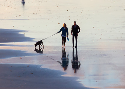 Volusia County Invites Public to Celebrate Opening of New Dog-Friendly Beach in Daytona Beach