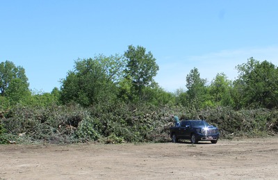 Debris Drop-off Sites to Close as Hurricane Cleanup Nears Completion