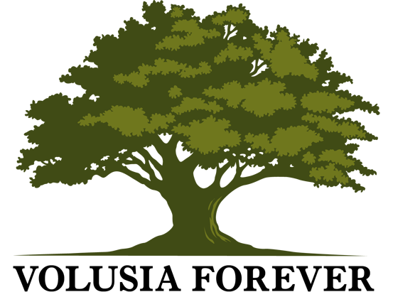 Volusia Forever committee to host listening sessions