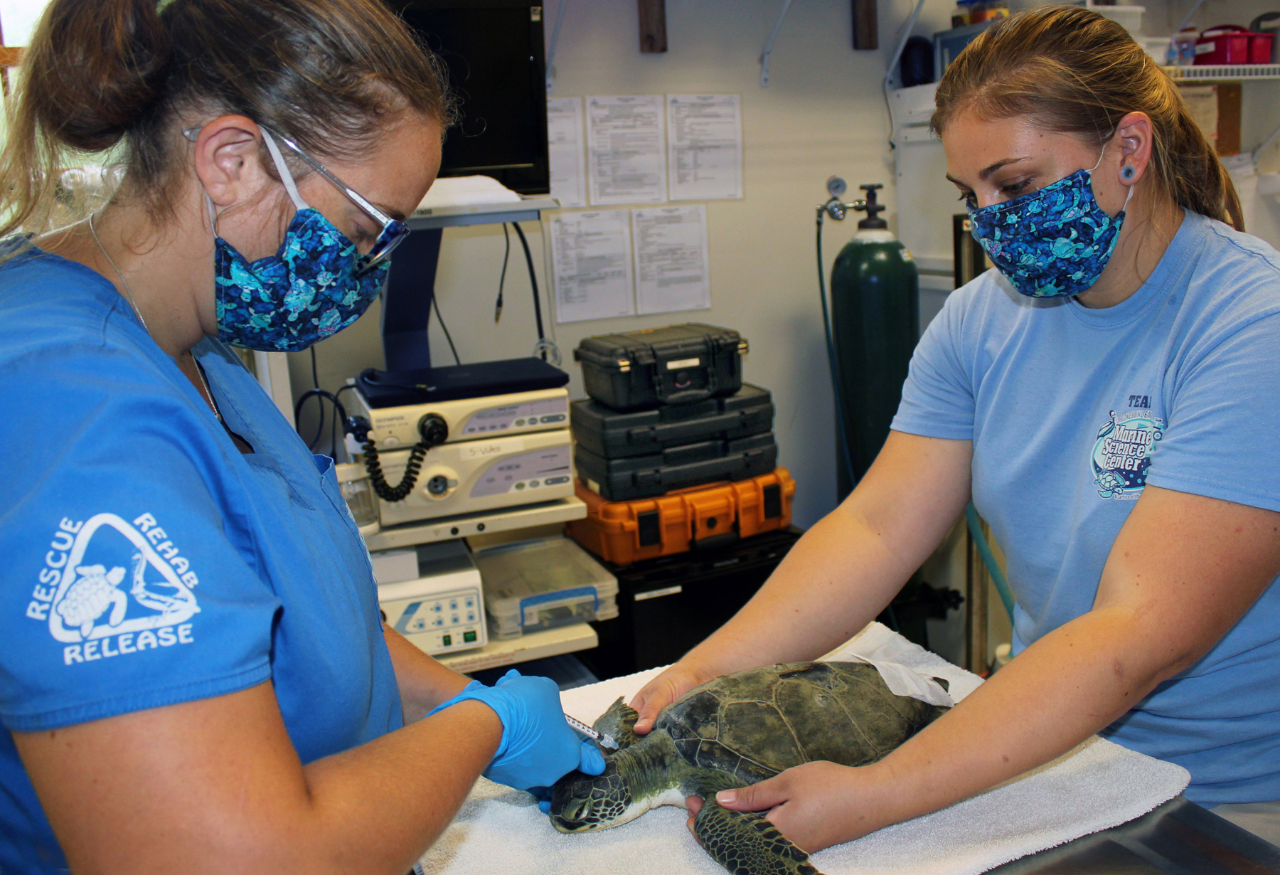 MSC receives $20,000 grant from Sea Turtle Conservancy