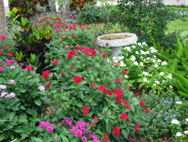 HOAs can learn about Florida friendly landscaping