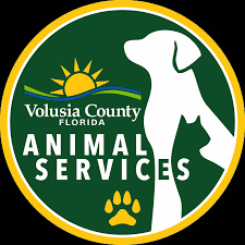 Animal Services recognized for innovative partnership with UF