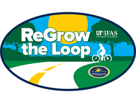 Learn about landscape design techniques 