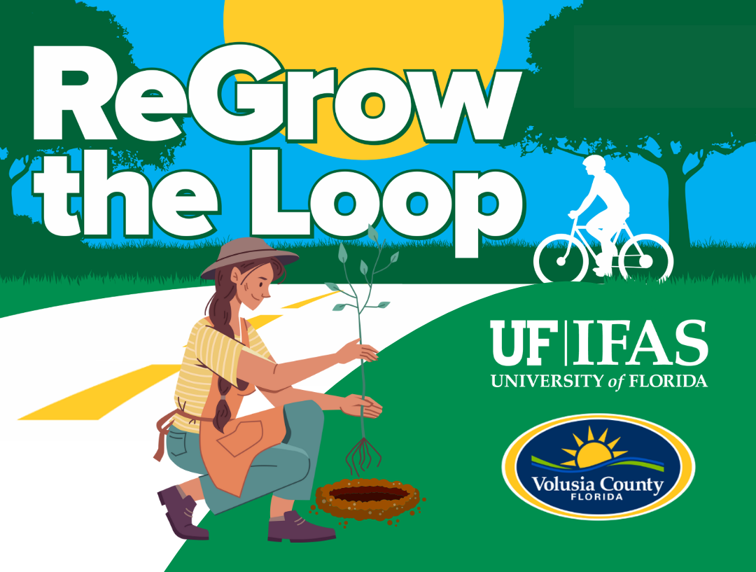 Learn how to add understory to your landscape