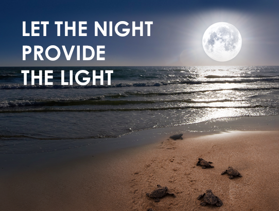 Beach Lighting Expo set for May 27