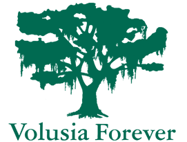 Volusia Forever to host local Florida Forever project proposal hearing