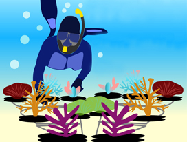 County offers master naturalist training