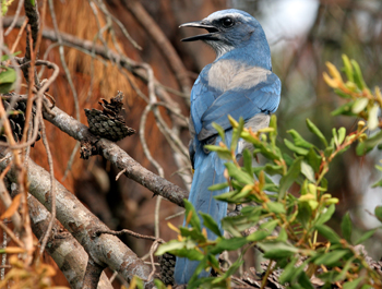 Outdoor adventures on tap at LEC