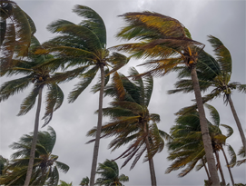 Storm could threaten Volusia County coast