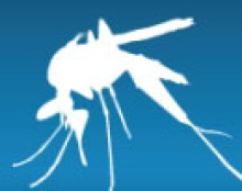Reduce mosquitos with tire amnesty event