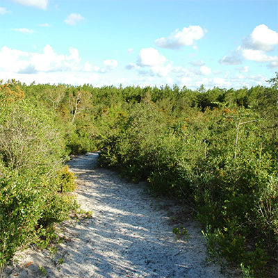 LEC: Wednesday Wildlife Walk Event Featured Image
