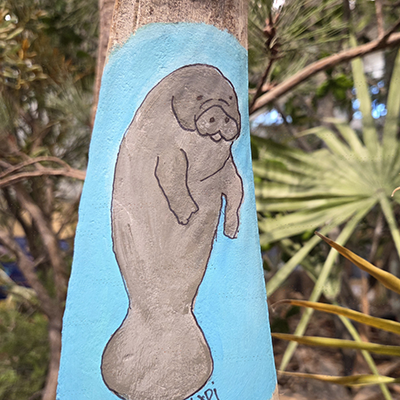 LEC: Gifts from Nature: Manatees Event Featured Image