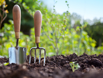 DeBary Hall: Sustainable Vegetable Gardening Event Featured Image