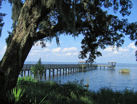 Explore Volusia: Lake George Paddle Event Featured Image