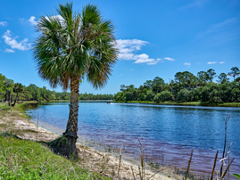 Explore Volusia: Riverbend Preserve Eco-buggy Tour Event Featured Image